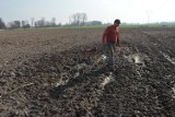 Tajemnicze bagno na polu rolnika w Psarach w gm. Dalików i inne zagadki... (ZDJĘCIA i FILM)