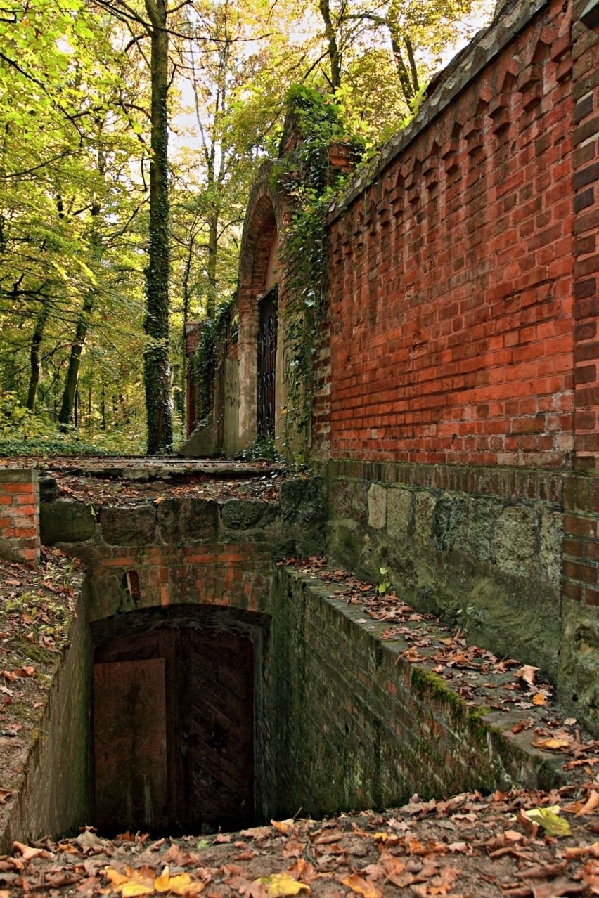 Grobowiec-mauzoleum rodziny Schoenborn.