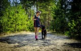 Dogtrekking, Warszawa. Spędź czas aktywnie ze swoim psem