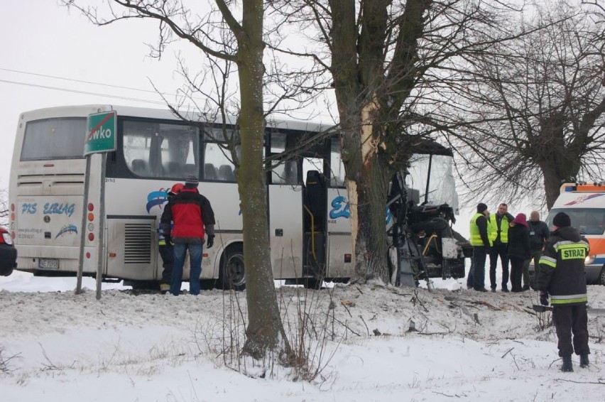 W Otłówku autobus uderzył w drzewo