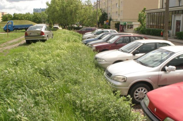 Parkingi na ul. Dunikowskiego. Zdaniem Czytelniczki mogłyby powstać parkingi