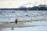 Na Pomorze powrócą silne wiatry i opady śniegu. Uważajmy!