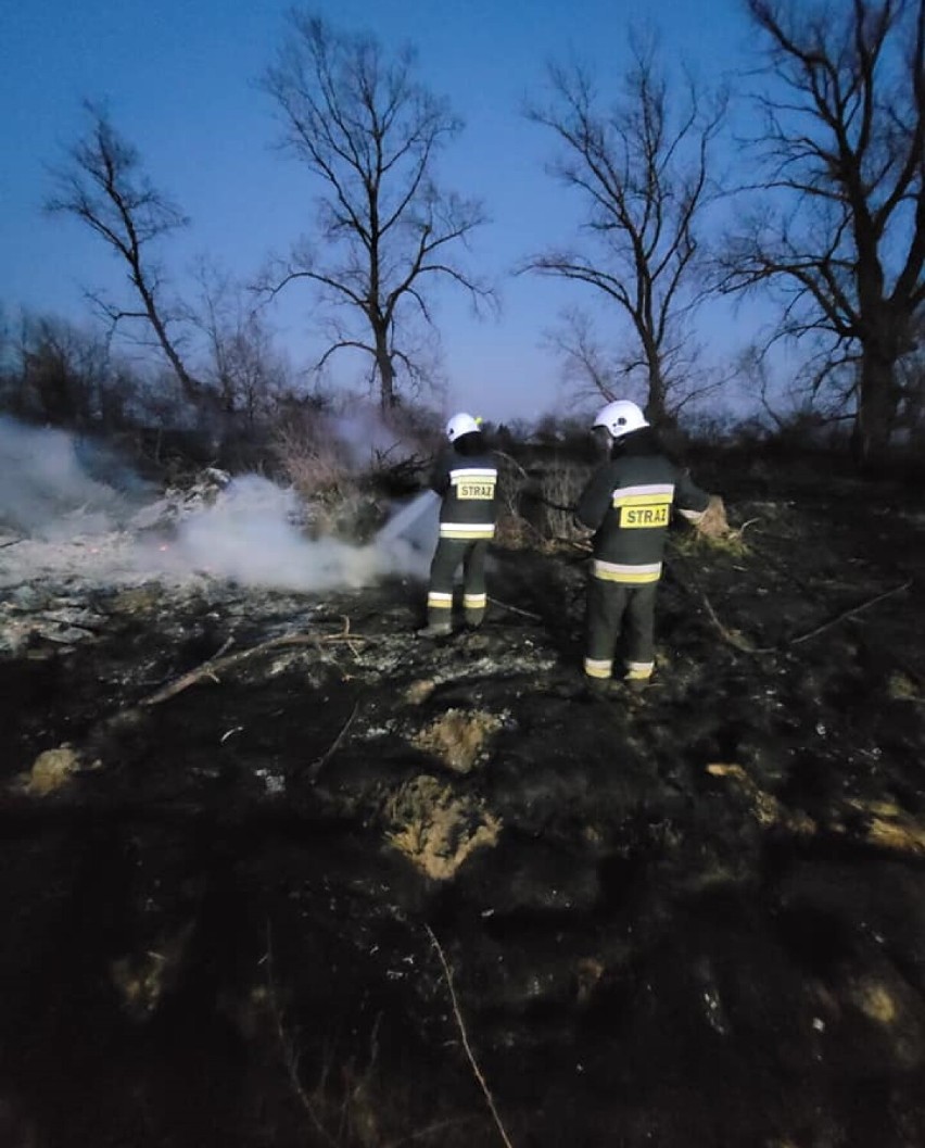 Gmina Miłoradz. Po pożarach traw strażacy mówią wprost: "Kiedyś ktoś nie zdąży i będzie duży płacz"