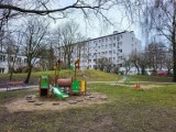 Rewitalizacja parków w Słupsku. Nowa era zieleni miejskiej. Będą pytać mieszkańców o zdanie 