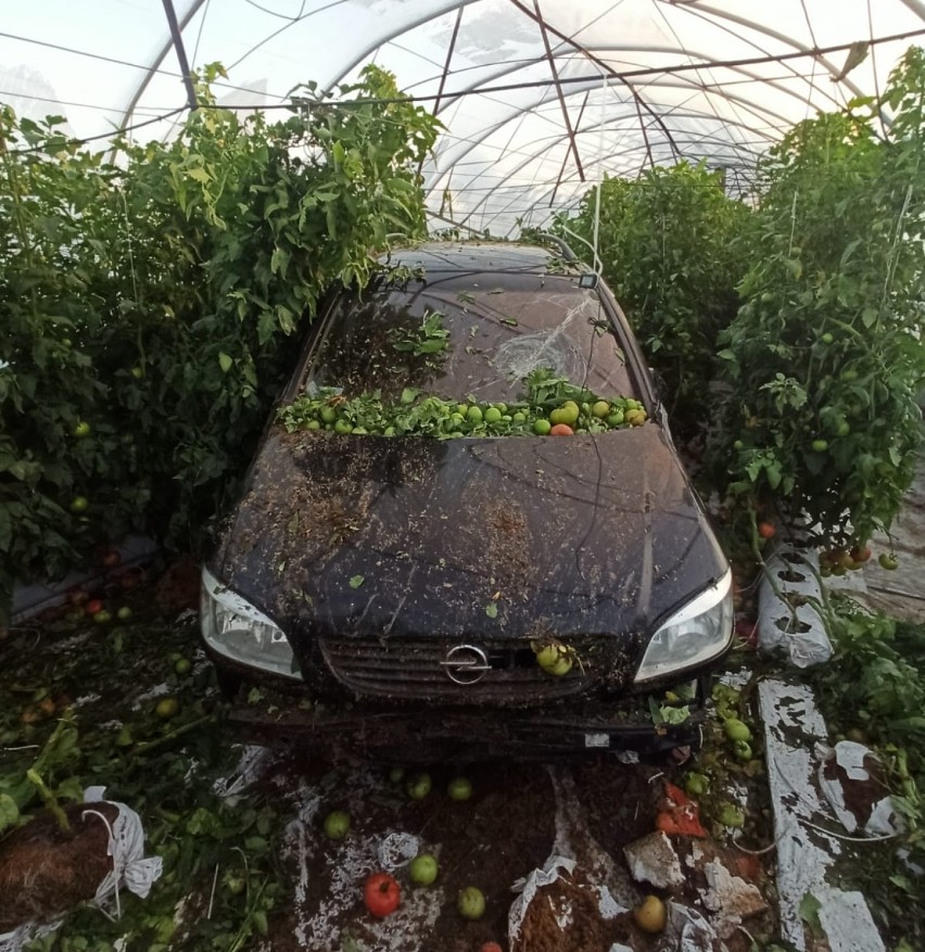 Pod Grudziądzem auto wypadło z drogi i zatrzymało się w tunelu foliowym. Kierowca trafił do szpitala [zdjęcia] 