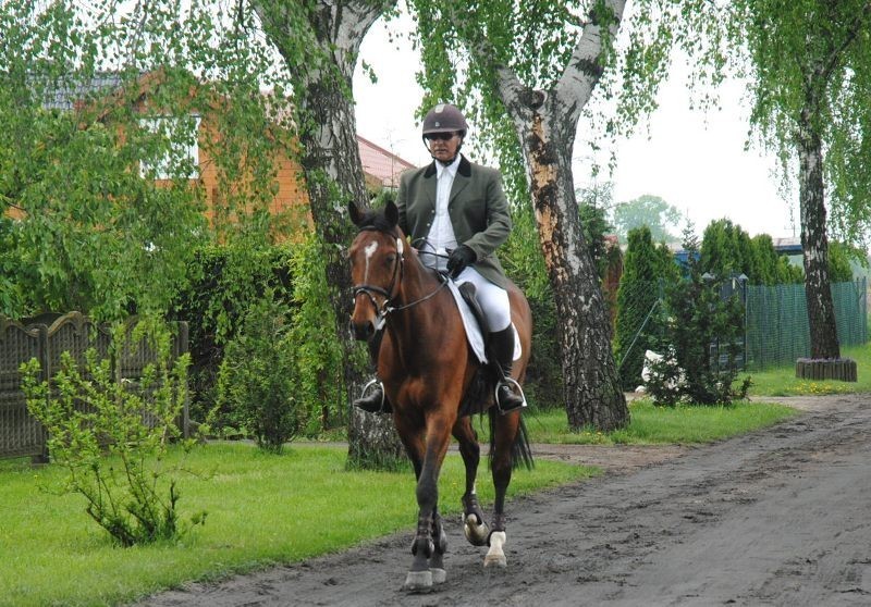 Zawody WKKW w stadninie koni w Racocie odbyły się w miniony weekend