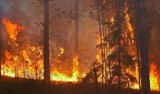 Wczoraj chodziescy strażacy gasili pożar lasu. Trzeba uważać, aby nie zaprószyć ognia!