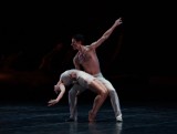 Wygraj zaproszenie na retransmisję baletu „Mediterranea” z teatru degli Arcimboldi
