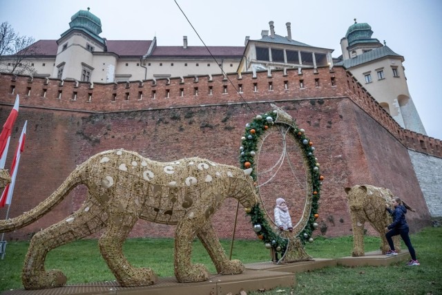 W ramach dekoracji świątecznej w tym roku pod Wawelem pojawiły się dwa drapieżne koty.