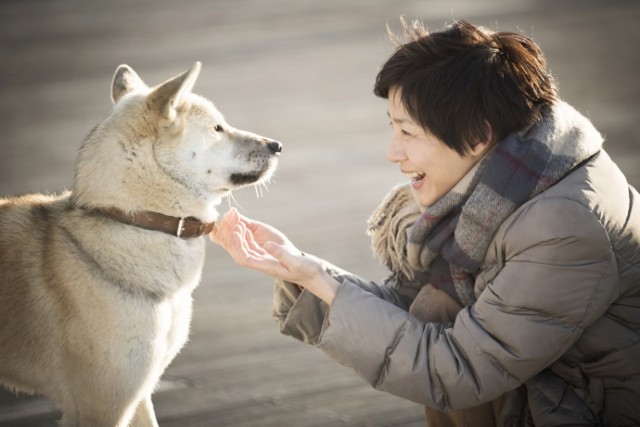 Festiwal Filmów Koreańskich w Warszawie. Przyjdź i zobacz piękne, egzotyczne kino