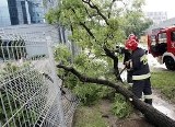 Ostrzeżenie meteorologiczne Bydgoszcz, Toruń, Włocławek, Inowrocław, Grudziądz