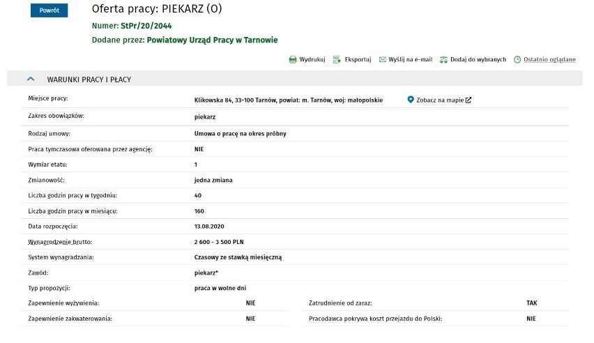 Tarnów. Najnowsze oferty pracy w Tarnowie i okolicach. Ile oferują pracodawcy? [13.08.2020]