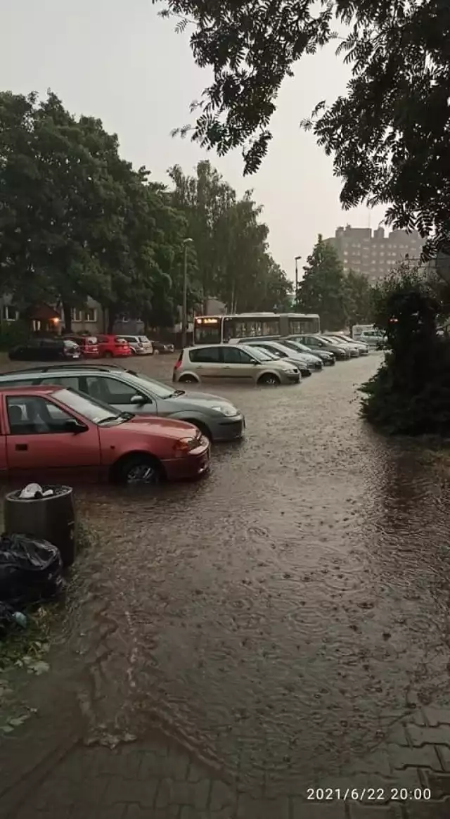 - Konieczne jest jej wspomaganie, poprzez tworzenie terenów zielonych, by woda mogła też naturalnie wsiąkać w grunt - mówi po wtorkowym wodnym kataklizmie w Krakowie dr hab. inż. Andrzej Wałęga, profesor Uniwersytetu Rolniczego