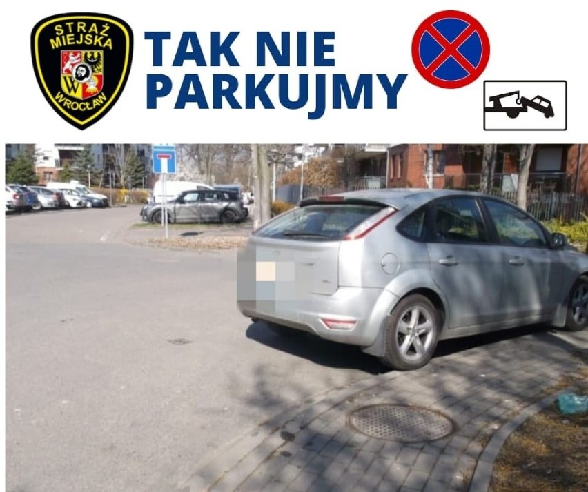 Mistrzowie parkowania na celowniku wrocławskich strażników miejskich [ZDJĘCIA]