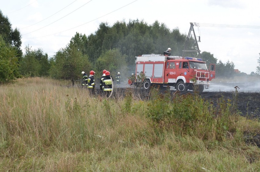 Pożar w Trzemesznie: W gaszeniu brało udział pięć zastępów straży pożarnej. ZOBACZ FILM
