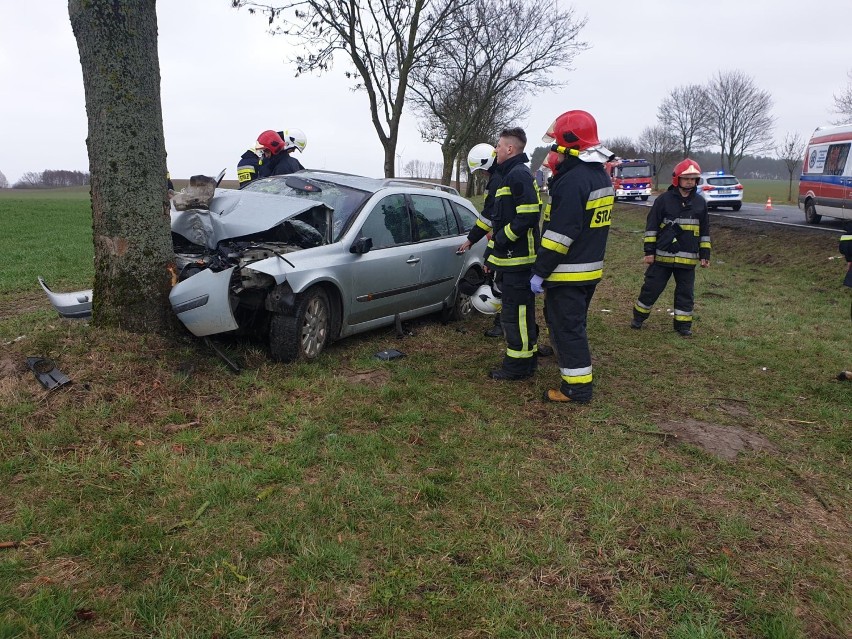 Renault wbiło się przodem w drzewo.