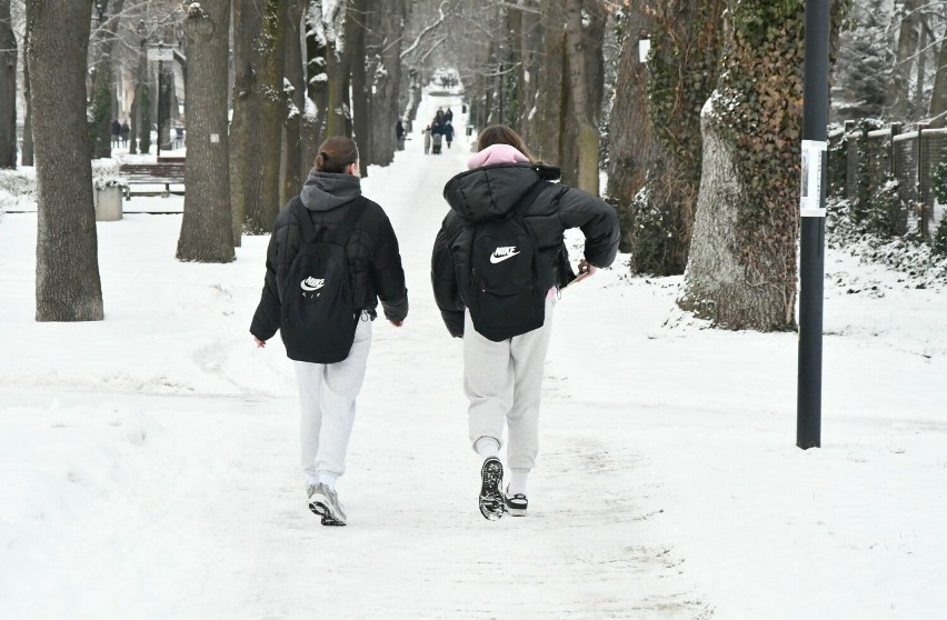 Zima 2024 w Busku-Zdroju. Zdjęcia z piątku, 19 stycznia.