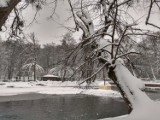 Park Miejski im. A. Majkowskiego w Wejherowie w zimowej scenerii 