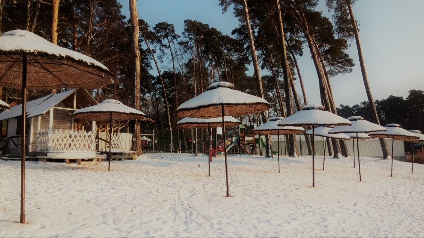 Zobacz, jak wspaniale wygląda plaża w Gołuchowie w zimowej...