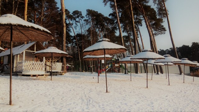 Zobacz, jak wspaniale wygląda plaża w Gołuchowie w zimowej odsłonie