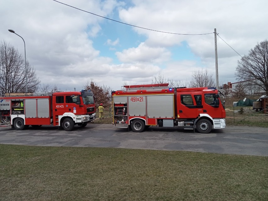 Niedzielny pożar altanki w Krotoszynie [ZDJĘCIA]