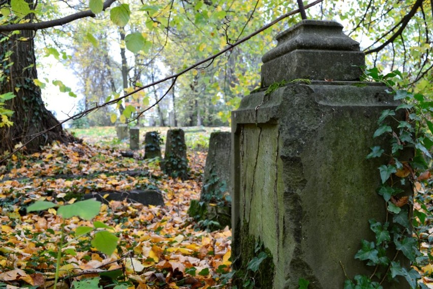 Menonicki cmentarz w Stawcu