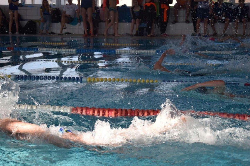 XII. Aquathlon Rumia 2022. W pływaniu i bieganiu rywalizowało ponad 220 zawodników [WYNIKI]