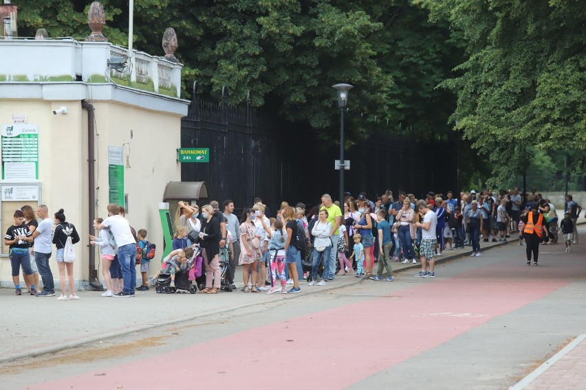 Tłumy czekają na wejście do zoo