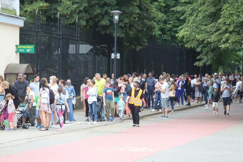 Tłumy czekają na wejście do zoo