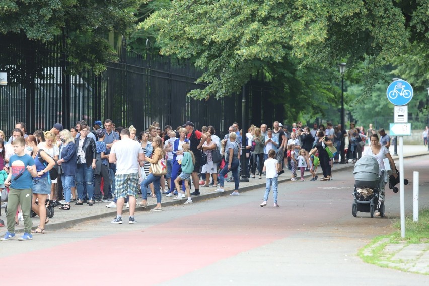 Tłumy czekają na wejście do zoo