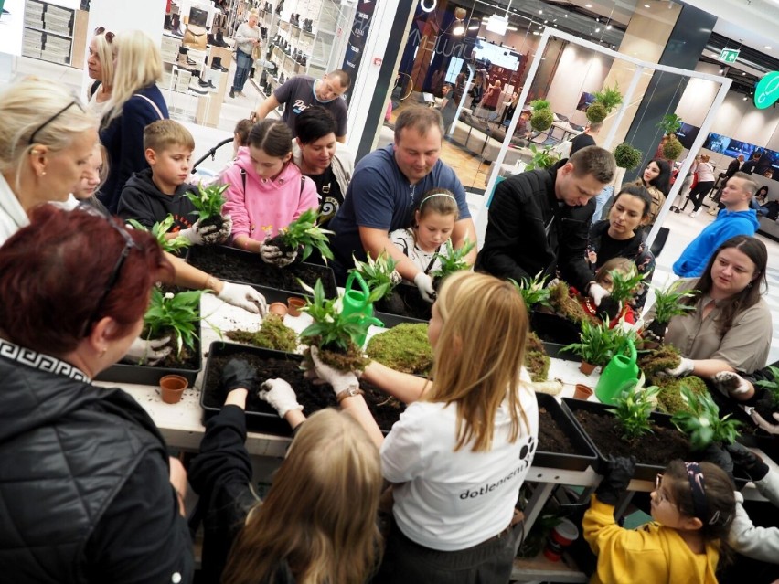 Warsztaty z sadzenia skrzydłokwiatów i sadzenie wirtualnych drzew w Focus Mall w Piotrkowie już w najbliższą sobotę