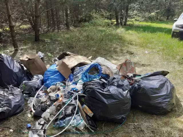 Na ulicy Trzuskawickiej w Kielcach Straż Miejska odkryła dzikie wysypisko śmieci.