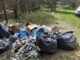 Kolejne dzikie wysypisko śmieci w Kielcach. Sprawca błyskwicznie namierzony i ukarany
