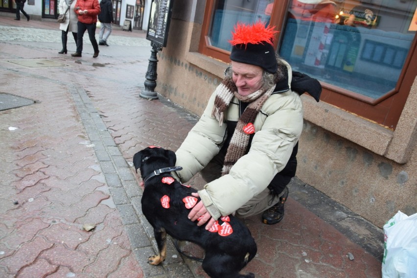 WOŚP 2019 na tarnowskich ulicach