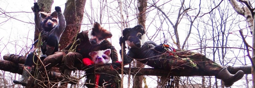 "Wilczyce" blokują wycinkę drzew w Bieszczadach. Zamieszkały w lesie w Nadleśnictwie Stuposiany [ZDJĘCIA]