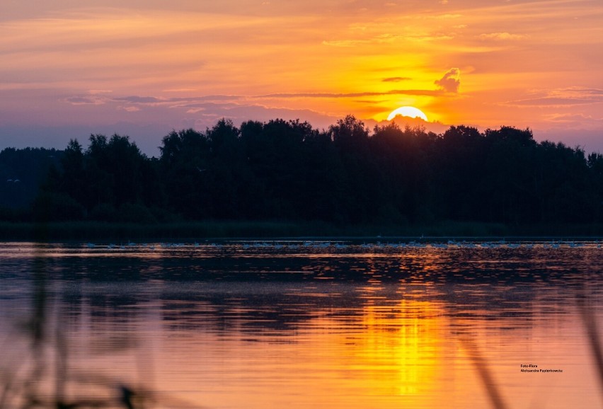 Wschód słońca nad Stawami Milickimi to czysta magia