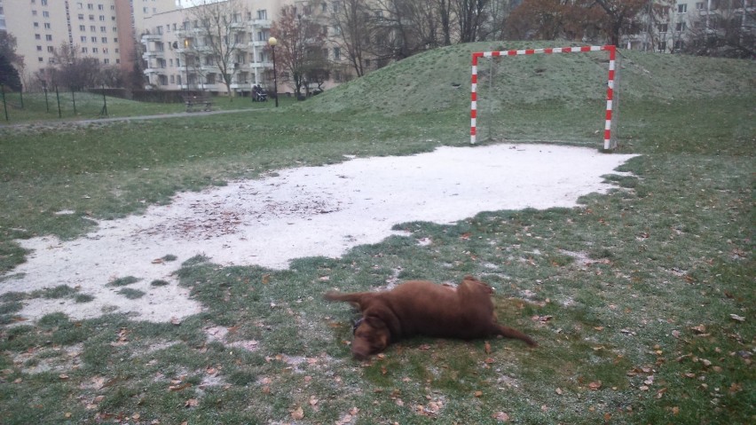 Śnieg w Warszawie. Zima powoli zaznacza swoją obecność...