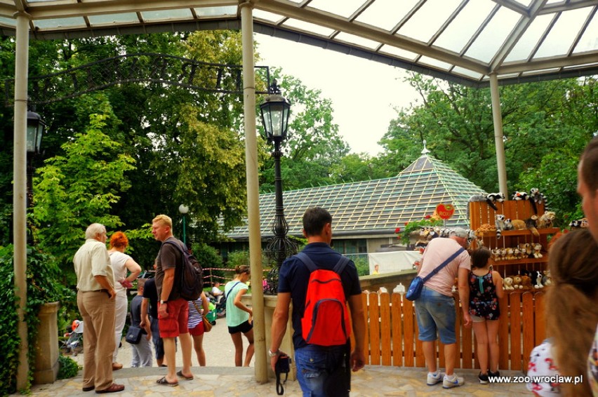 Remonty we wrocławskim zoo