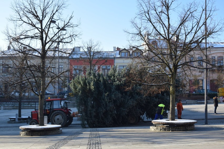 Gorlice stroją się na święta. Na płycie rynku stanęła choinka