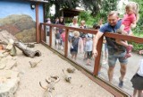 Toruńskie zoo otwarte od poniedziałku! Jakie będą ograniczenia?