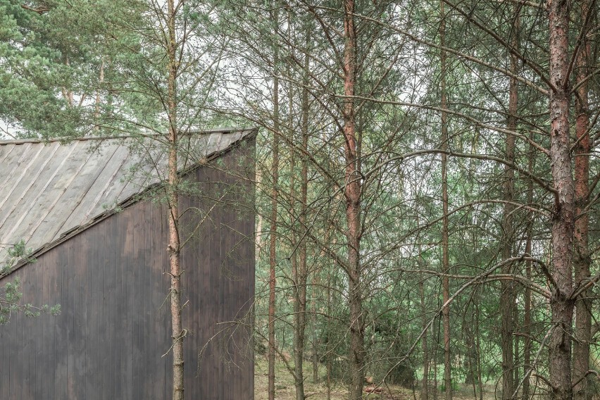 Bookworm Cabin w Adelinie pod Warszawą. Przepiękny domek do czytania książek