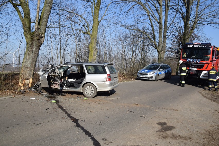 Śmiertelny wypadek na trasie Robaków - Czołnochów