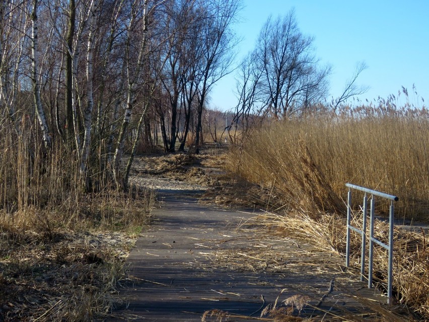 Trzebież. Jest akt oskarżenia wobec podpalaczy promenady 