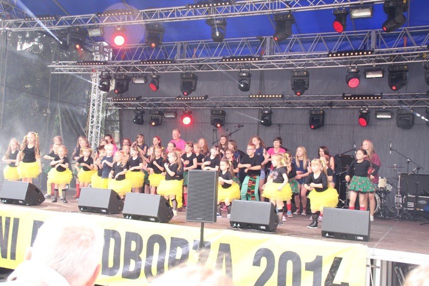 Dni Przedborza 2014