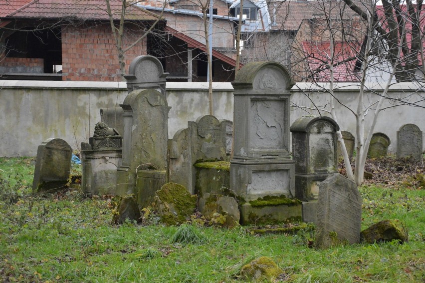 Tarnów. Szukają zbiorowych mogił na cmentarzu żydowskim
