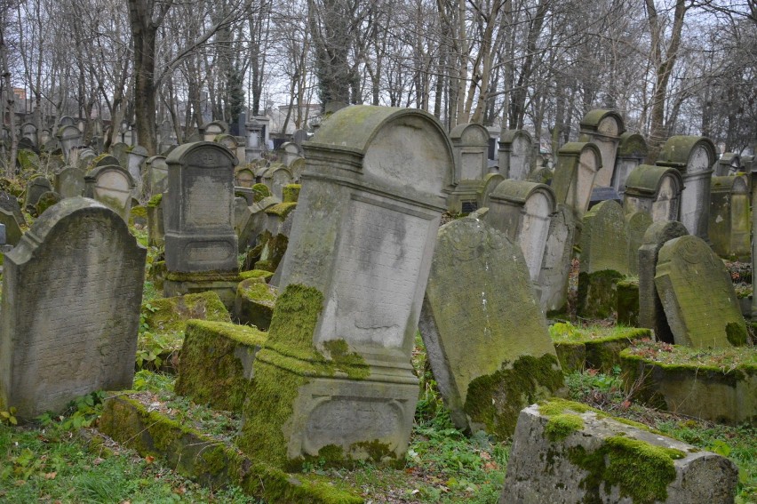 Tarnów. Szukają zbiorowych mogił na cmentarzu żydowskim