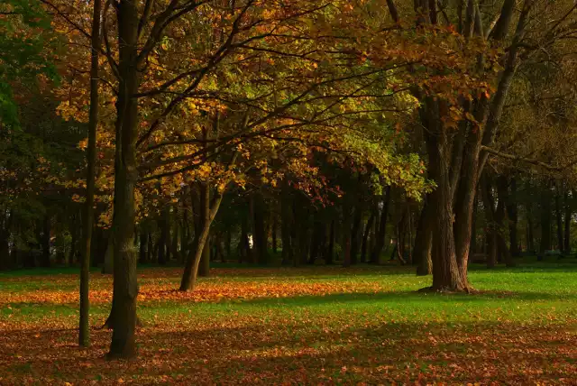 Park Panorama