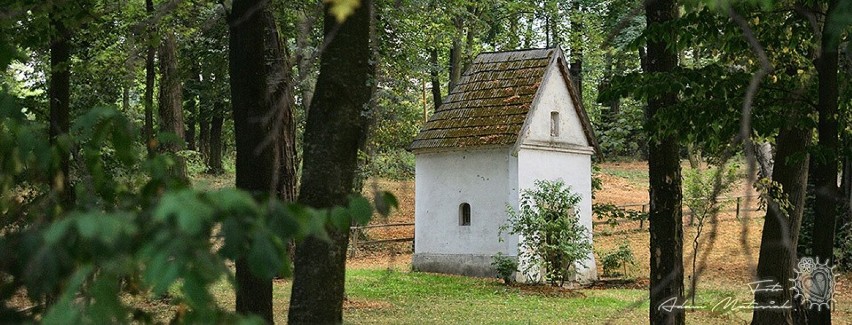 Kapliczka w Świdniku