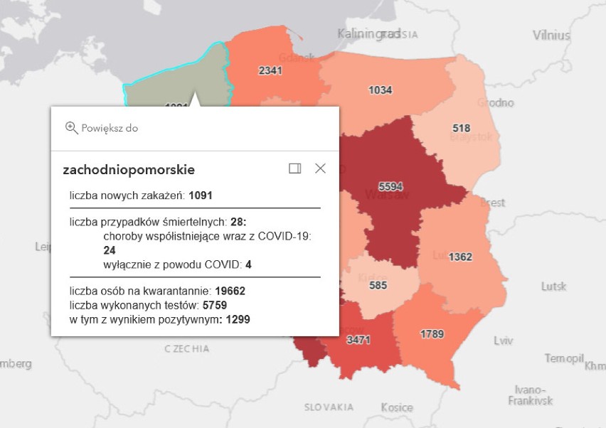 19.01.2022 r. - pandemia COVID-19