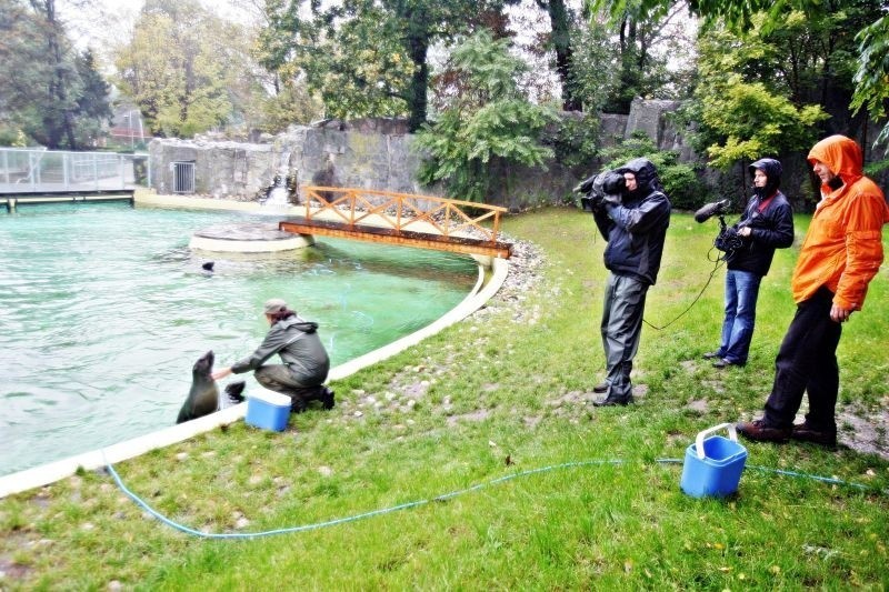 Wrocław: Kolejny odcinek: &quot;Zoo story&quot; nakręcony (ZDJĘCIA)